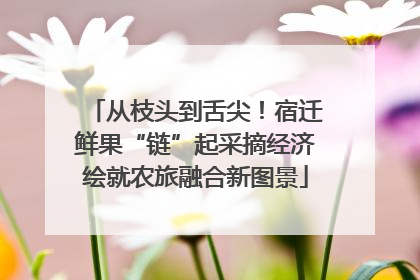 从枝头到舌尖！宿迁鲜果“链”起采摘经济绘就农旅融合新图景