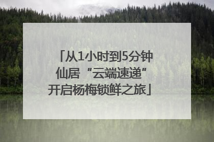 从1小时到5分钟 仙居“云端速递”开启杨梅锁鲜之旅
