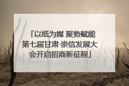 以纸为媒 聚势赋能 第七届甘肃·崇信发展大会开启招商新征程