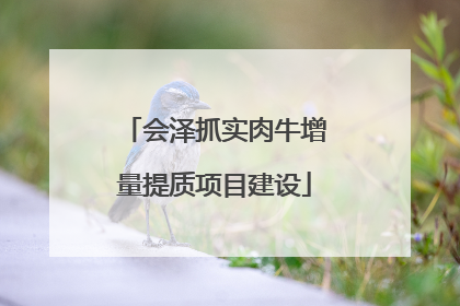 会泽抓实肉牛增量提质项目建设