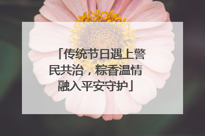 传统节日遇上警民共治，粽香温情融入平安守护