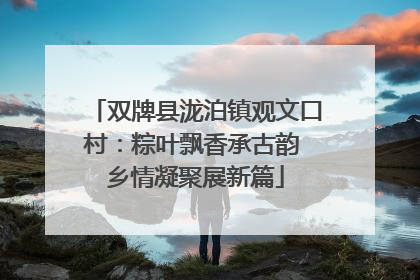 双牌县泷泊镇观文口村：粽叶飘香承古韵 乡情凝聚展新篇