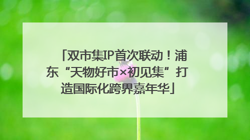 双市集IP首次联动！浦东“天物好市×初见集”打造国际化跨界嘉年华