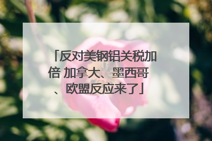 反对美钢铝关税加倍 加拿大、墨西哥、欧盟反应来了
