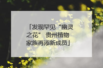 发现罕见“幽灵之花” 贵州植物家族再添新成员