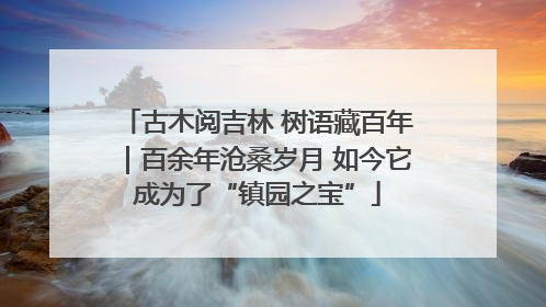 古木阅吉林 树语藏百年｜百余年沧桑岁月 如今它成为了“镇园之宝”