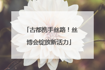 古都携手丝路！丝博会绽放新活力
