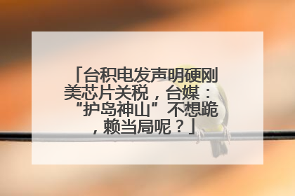 台积电发声明硬刚美芯片关税，台媒：“护岛神山”不想跪，赖当局呢？