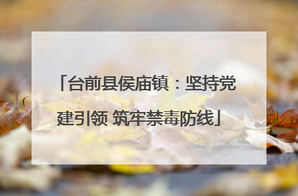 台前县侯庙镇：坚持党建引领 筑牢禁毒防线