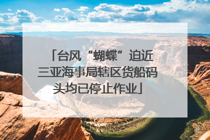 台风“蝴蝶”迫近 三亚海事局辖区货船码头均已停止作业