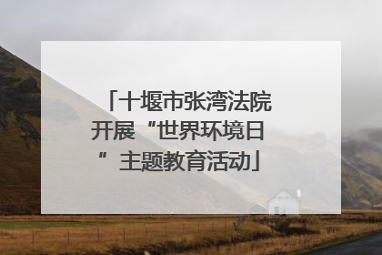 十堰市张湾法院开展“世界环境日”主题教育活动