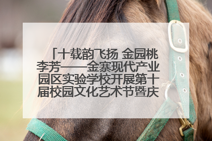 十载韵飞扬 金园桃李芳——金寨现代产业园区实验学校开展第十届校园文化艺术节暨庆“六一”系列活动