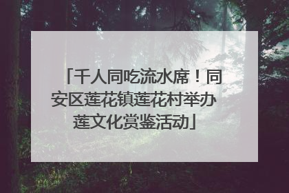 千人同吃流水席！同安区莲花镇莲花村举办莲文化赏鉴活动