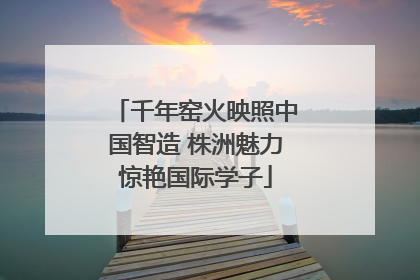 千年窑火映照中国智造 株洲魅力惊艳国际学子