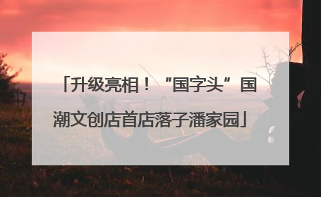 升级亮相！“国字头”国潮文创店首店落子潘家园