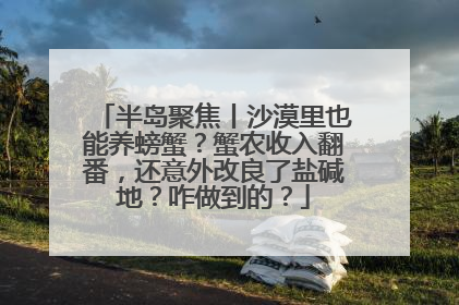 半岛聚焦丨沙漠里也能养螃蟹？蟹农收入翻番，还意外改良了盐碱地？咋做到的？