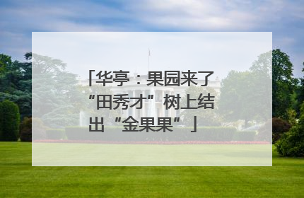 华亭：果园来了“田秀才”树上结出“金果果”