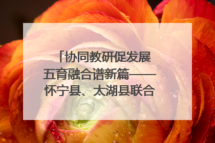 协同教研促发展 五育融合谱新篇——怀宁县、太湖县联合教研活动在月山镇中心学校成功举办