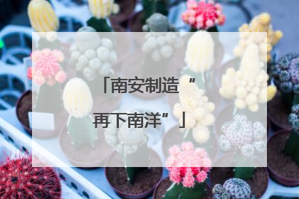 南安制造“再下南洋”