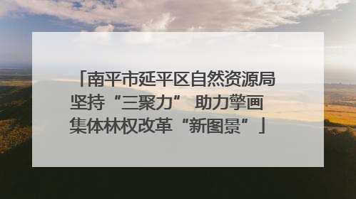 南平市延平区自然资源局坚持“三聚力” 助力擎画集体林权改革“新图景”