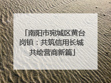 南阳市宛城区黄台岗镇：共筑信用长城 共绘营商新篇