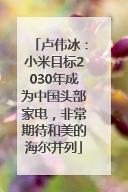 卢伟冰：小米目标2030年成为中国头部家电，非常期待和美的海尔并列