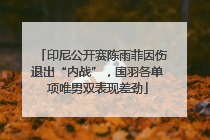 印尼公开赛陈雨菲因伤退出“内战”，国羽各单项唯男双表现差劲