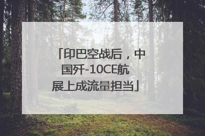 印巴空战后，中国歼-10CE航展上成流量担当