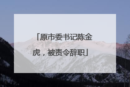 原市委书记陈金虎，被责令辞职