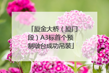 厦金大桥（厦门段）A3标首个预制墩台成功吊装