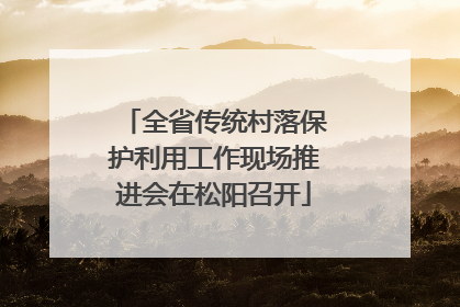 全省传统村落保护利用工作现场推进会在松阳召开
