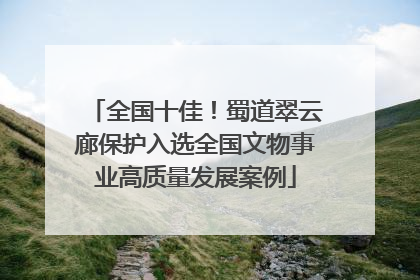 全国十佳！蜀道翠云廊保护入选全国文物事业高质量发展案例