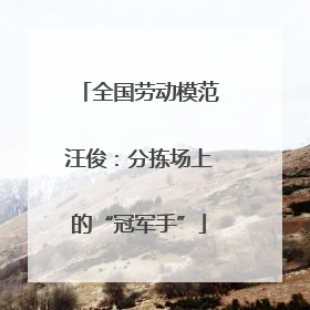 全国劳动模范汪俊：分拣场上的“冠军手”