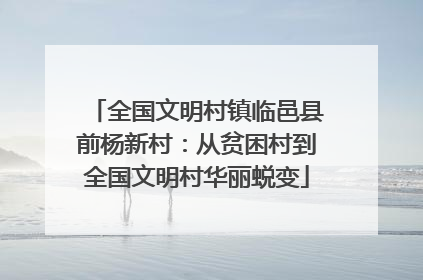 全国文明村镇临邑县前杨新村：从贫困村到全国文明村华丽蜕变