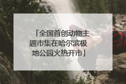 全国首创动物主题市集在哈尔滨极地公园火热开市