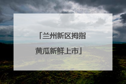 兰州新区拇指黄瓜新鲜上市
