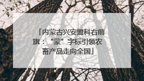 内蒙古兴安盟科右前旗：“蒙”字标引领农畜产品走向全国
