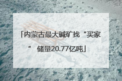 内蒙古最大碱矿找“买家” 储量20.77亿吨