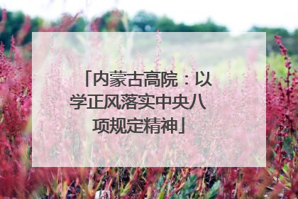 内蒙古高院：以学正风落实中央八项规定精神