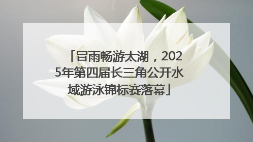 冒雨畅游太湖，2025年第四届长三角公开水域游泳锦标赛落幕