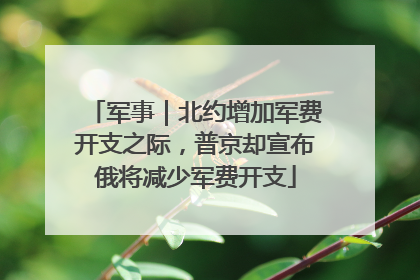 军事｜北约增加军费开支之际，普京却宣布俄将减少军费开支