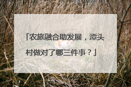 农旅融合助发展，潭头村做对了哪三件事？