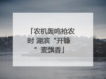 农机轰鸣抢农时 湖滨“开镰”麦飘香