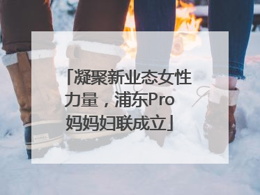 凝聚新业态女性力量，浦东Pro妈妈妇联成立
