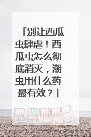 别让西瓜虫肆虐！西瓜虫怎么彻底消灭，潮虫用什么药最有效？