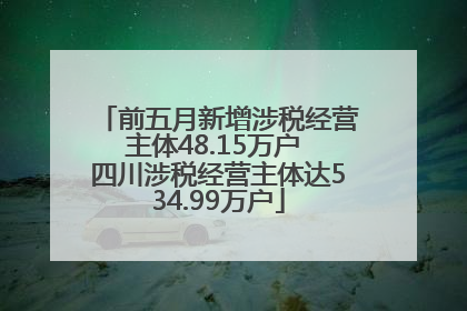 前五月新增涉税经营主体48.15万户 四川涉税经营主体达534.99万户