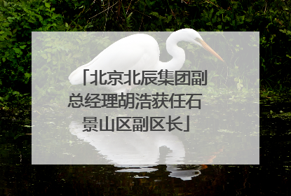 北京北辰集团副总经理胡浩获任石景山区副区长