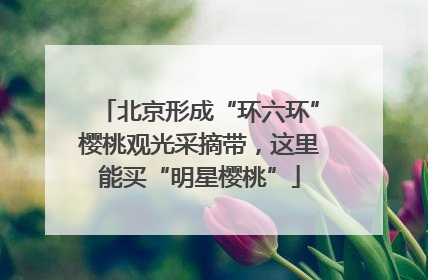 北京形成“环六环”樱桃观光采摘带，这里能买“明星樱桃”
