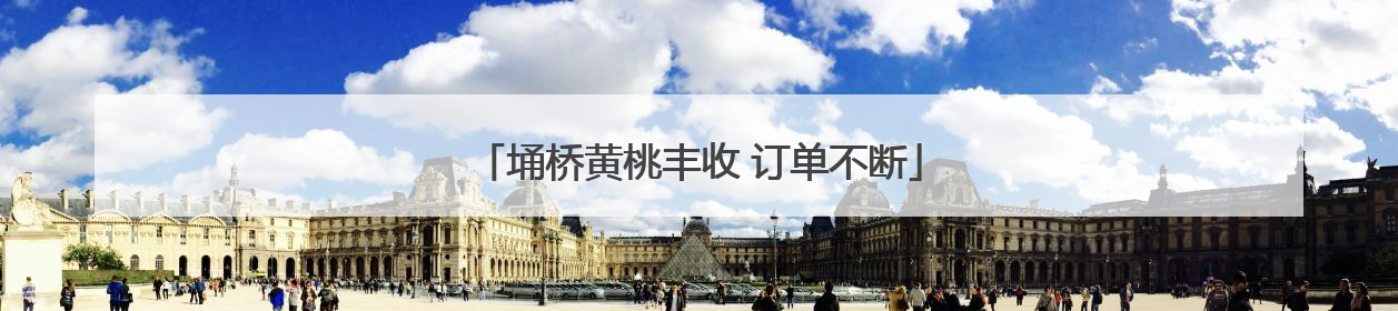埇桥黄桃丰收 订单不断