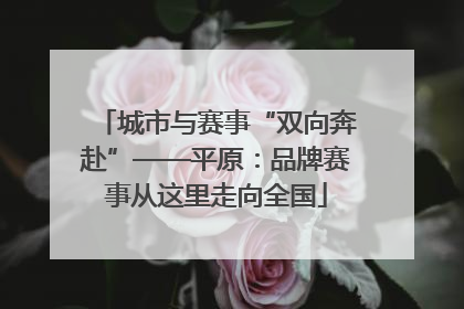 城市与赛事“双向奔赴”——平原：品牌赛事从这里走向全国